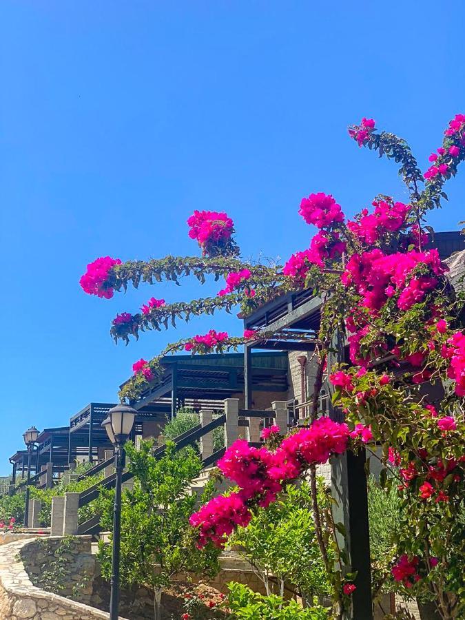 Aqua Holiday Apartments Vlorë Εξωτερικό φωτογραφία
